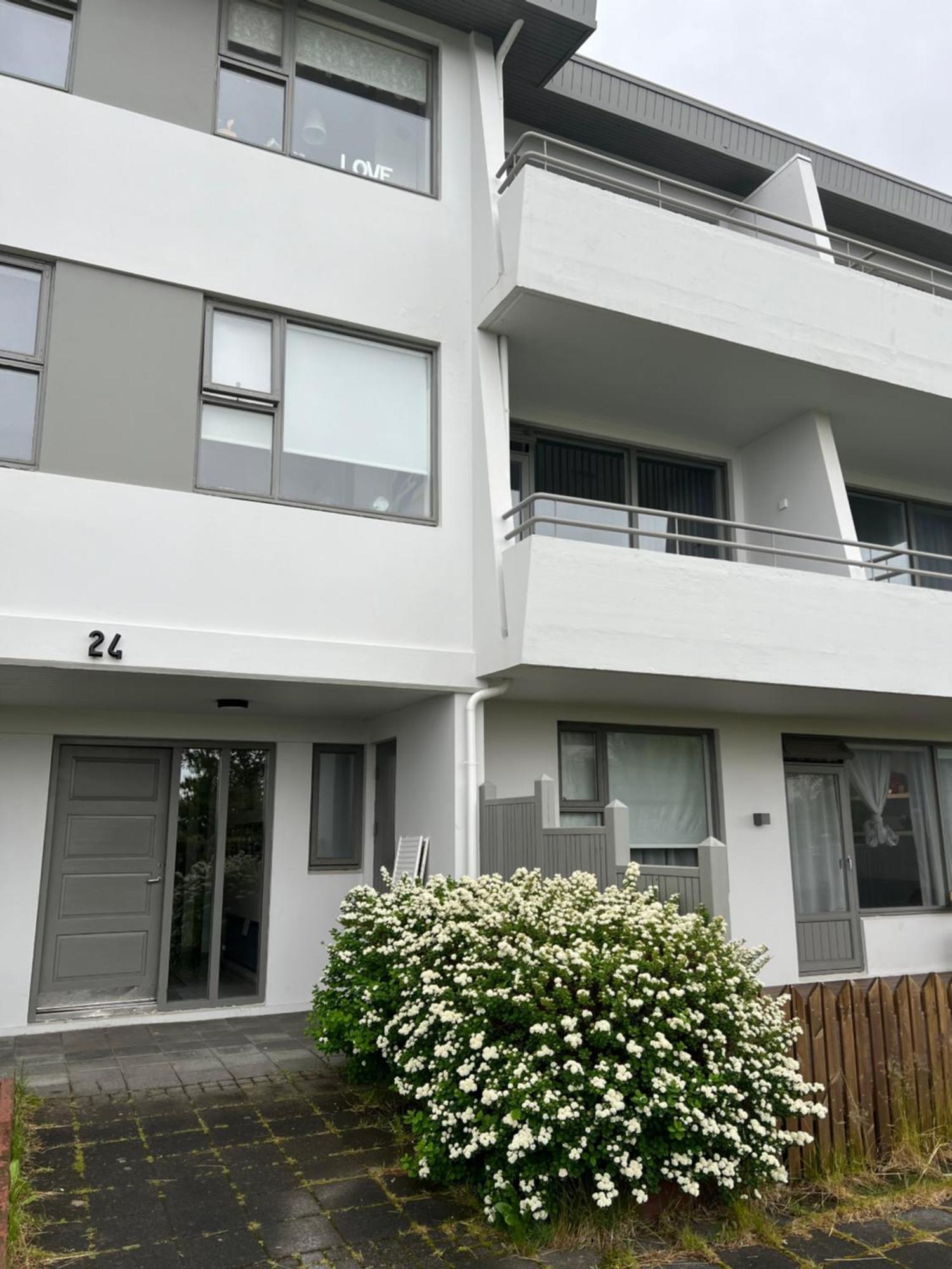 Viggsson Apartment Reykjavik Extérieur photo