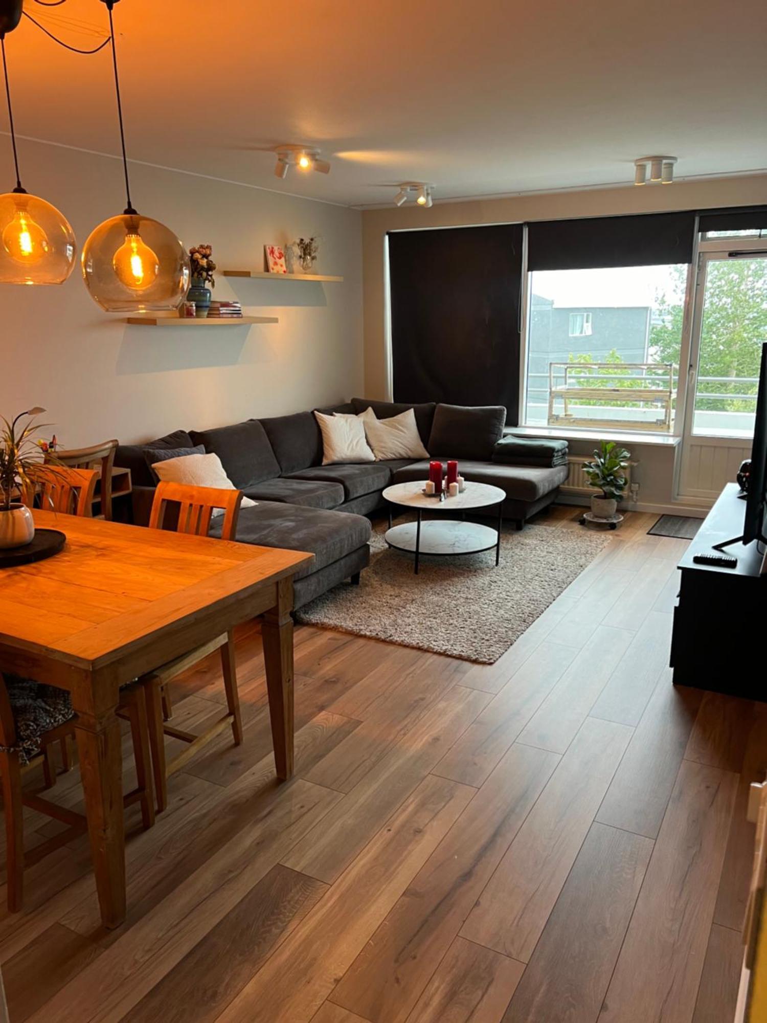 Viggsson Apartment Reykjavik Extérieur photo